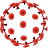 HIV2 recombinant protein