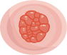 Stable Cell Line Development