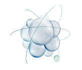 recombinant antibody expression platform