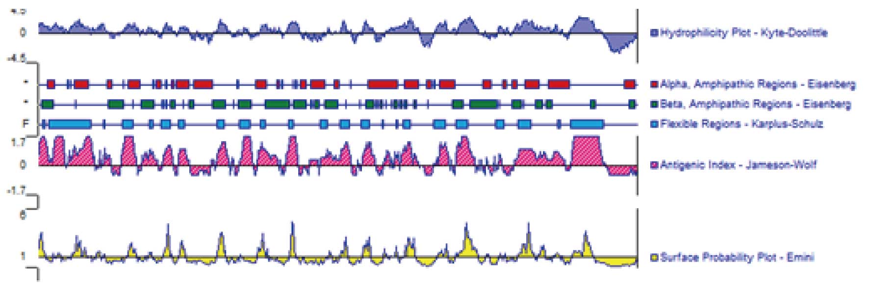 antigen design