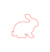 new zealand rabbit