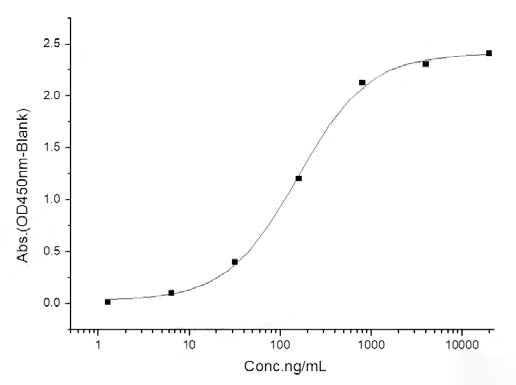 Bio Activity