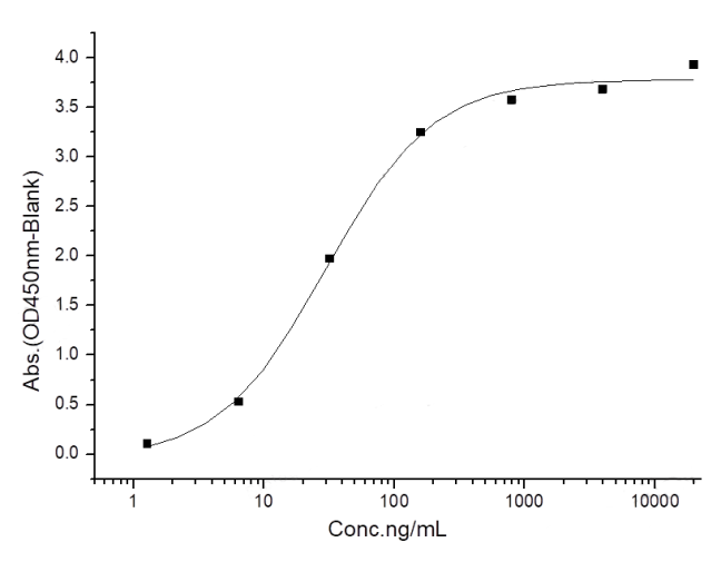 Bio Activity