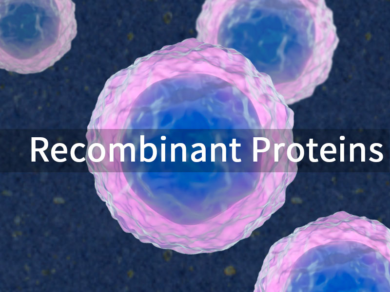 recombinant proteins